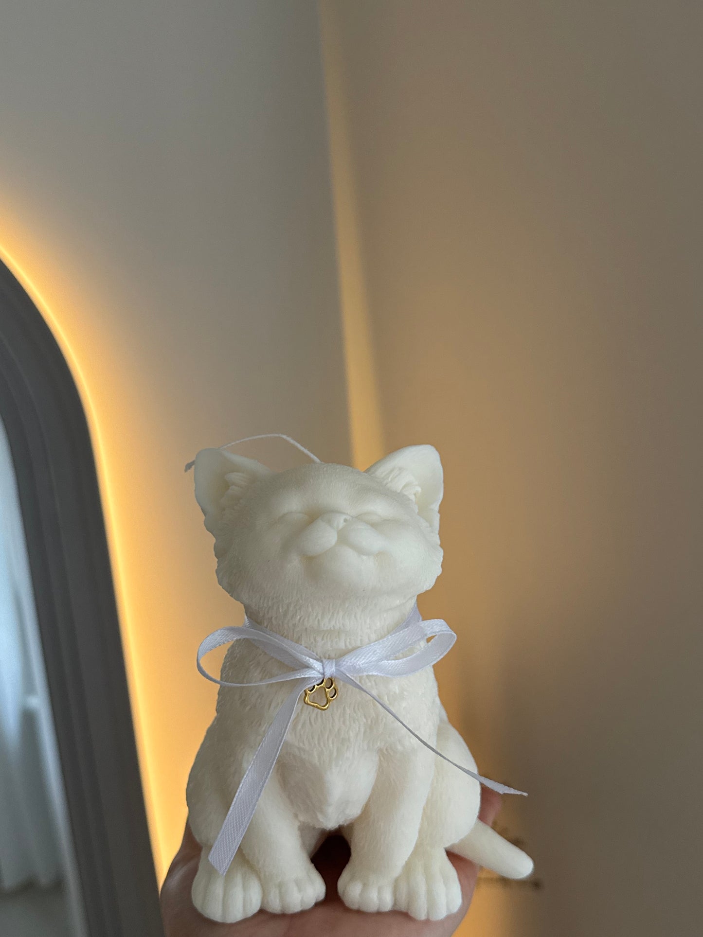 CAT on a candle