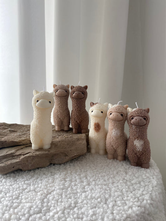 ALPAKA küünlad  (6 tk)