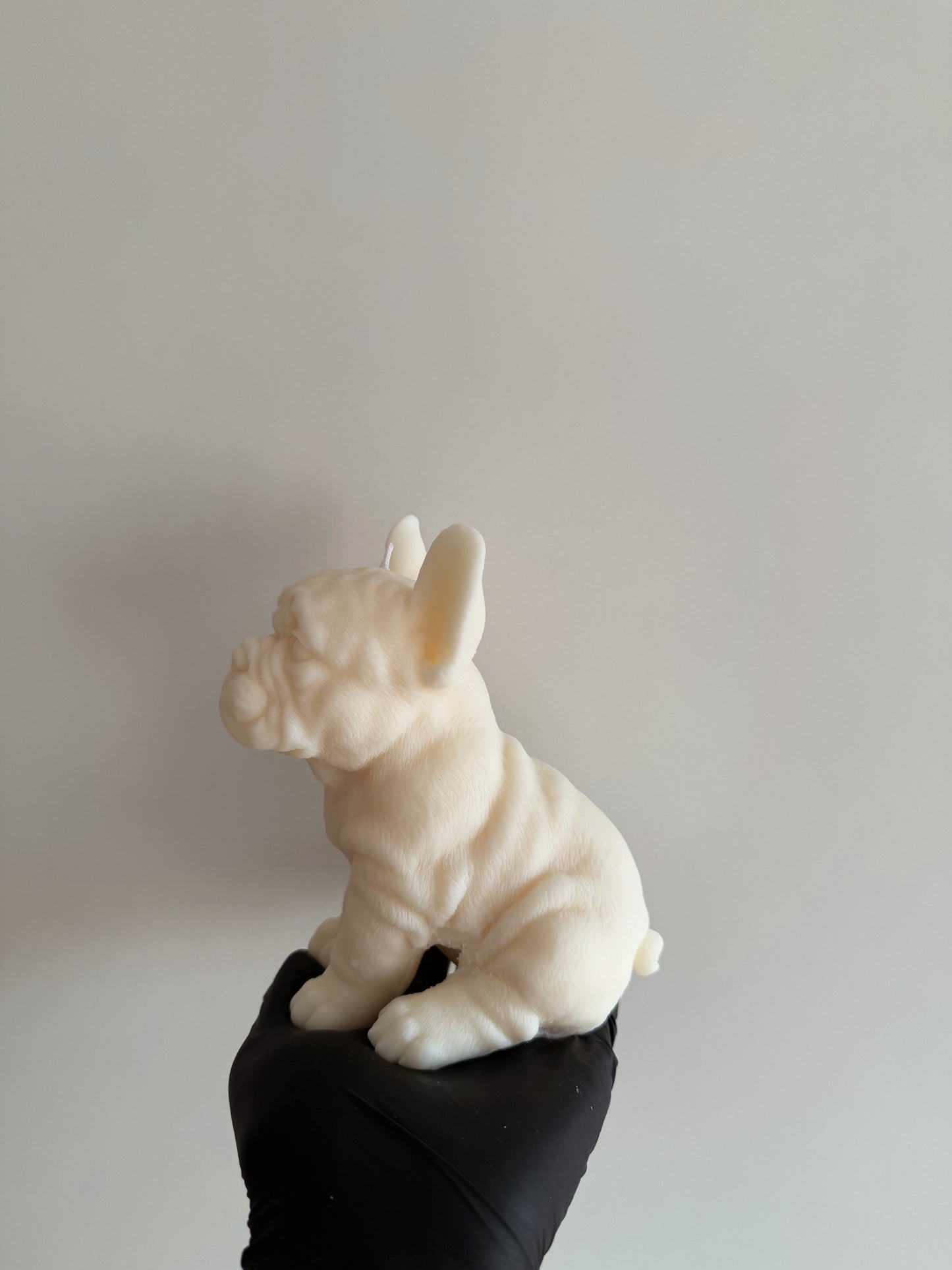 FRENCH BULLDOG küünal