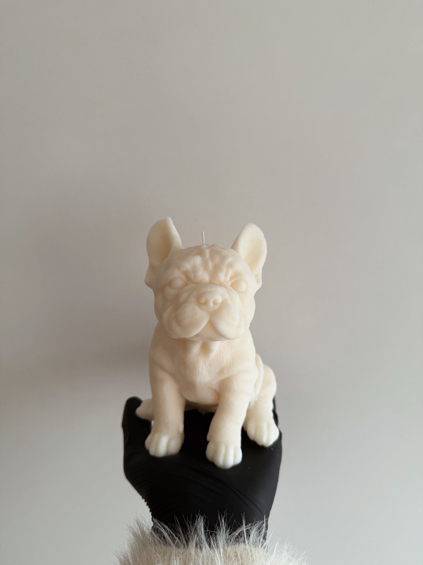 FRENCH BULLDOG küünal
